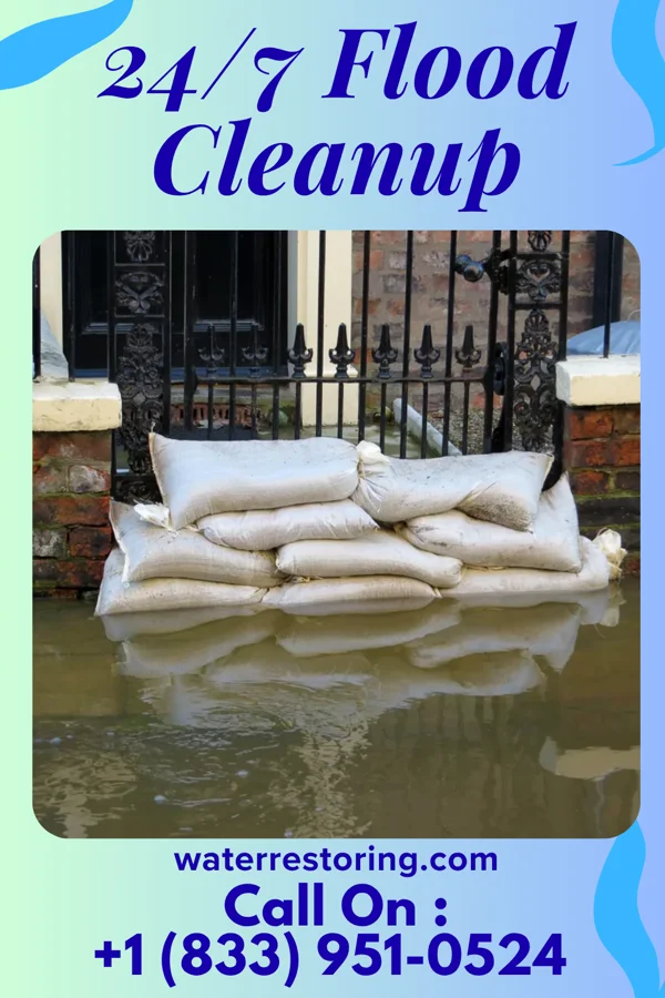 24/7 Flood Cleanup in Plum Grove, TX