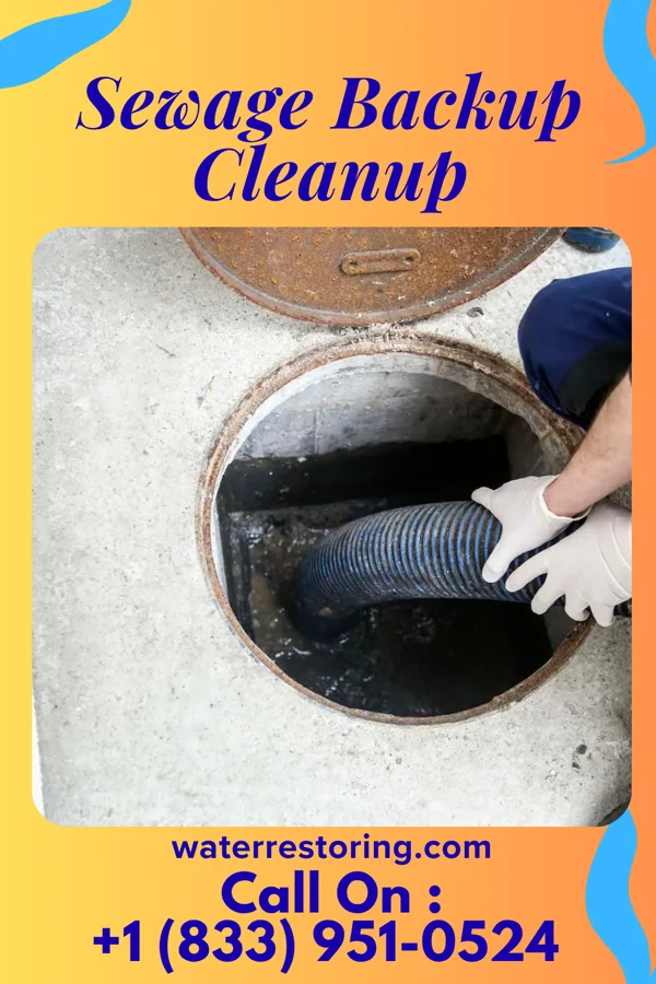 Sewage Backup Cleanup in Plum Grove, TX